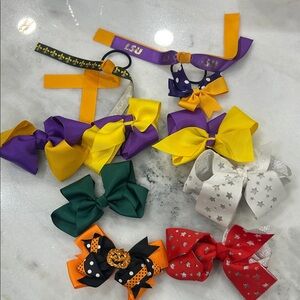 Vibrant Hair Bow Collection for Kids 10 pieces LSU